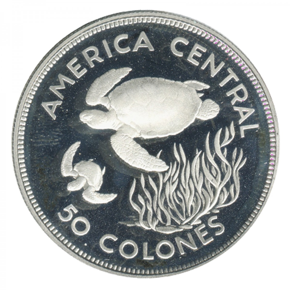 50 Colones Costa Rica Argent Monnaies Argent