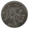 5 Cents Buffalo - Etats-Unis