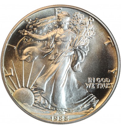 1 Dollar Silver Eagle - Etats-Unis Argent