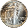1 Dollar Silver Eagle - Etats-Unis Argent