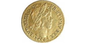 Demi Louis d'or à la Mèche Courte - Louis XIV