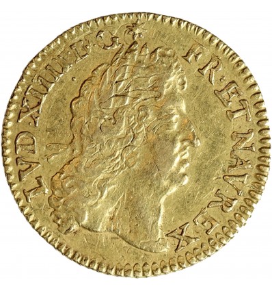 Demi Louis d'or à  l'Ecu - Louis XIV