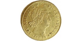 Louis d'or aux 8L et Insignes - Louis XIV
