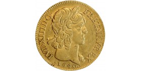 Louis d'Or à la Mèche Courte - Louis XIII