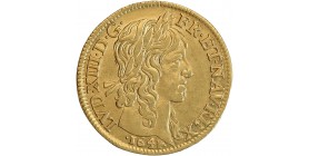 Louis d'Or à la Mèche Longue - Louis XIII