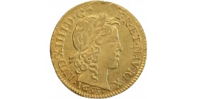 Louis d'Or à la Mèche Longue - Louis XIV