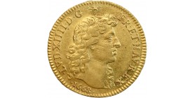 Louis d'Or au buste Juvénile - Louis XIV