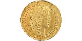 Louis d'Or à la Mèche Longue - Louis XIV