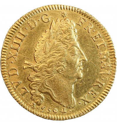 Double Louis d'Or aux 4L - Louis XIV