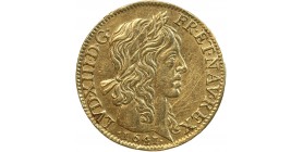 Louis d'Or à la Mèche Longue - Louis XIII