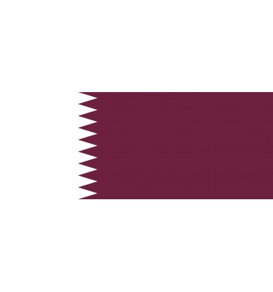 Ryal Qatar QAR