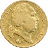 20 Francs Louis XVIII Buste Nu