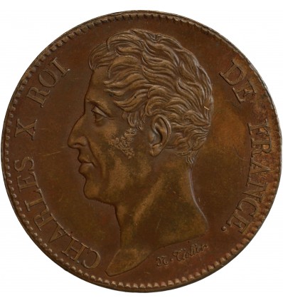 Module de 5 Francs, Monnaie de Visite, pour la visite du roi à la Monnaie de Lille