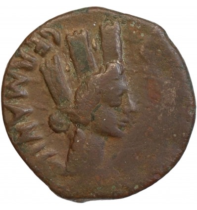 Bronze Provincial de Tibère - Empire Romain