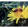 Série B.U. Irlande 2021 - Les Abeilles