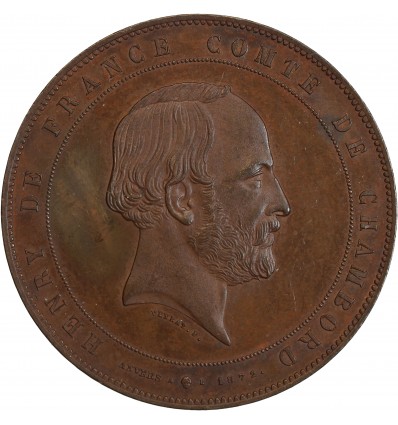 Médaille en bronze, Henri de France, Comte de Chambord