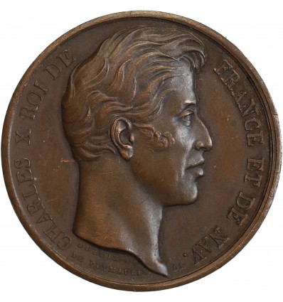Médaille en cuivre, Charles X Visite à Cambrai le 4 septembre 1827