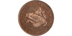 Médaille Satirique du Plus Grand des Empereurs ..."Vampire de la France"