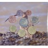 Séries B.U. Irlande 2024 - Biodiversité