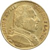 20 Francs Louis XVIII Buste Habillé - Variété 4 Long