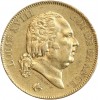 40 Francs Louis XVIII