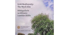 Série B.U. Irlande 2025 - Biodiversité II