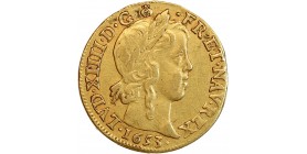 Louis à la Mèche Longue - Louis XIV
