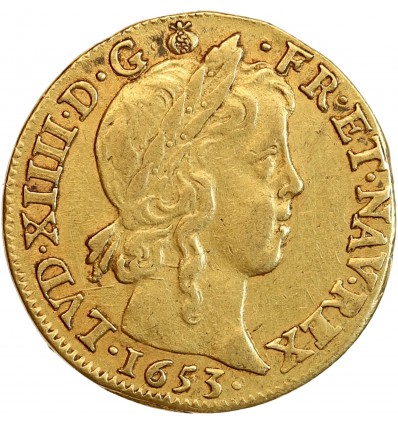 Louis à la Mèche Longue - Louis XIV