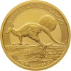 Kangourou 1 Once Or Australie