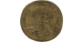 Jeton en Laiton de Nuremberg - Louis XIV