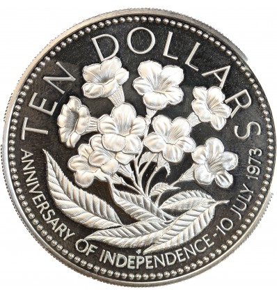 Revers : tecoma stans (trompette d'or)