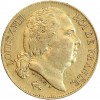 20 Francs Louis XVIII Buste Nu