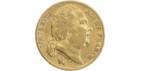 20 Francs Louis XVIII Buste Nu