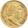 20 Francs Louis XVIII Buste Nu