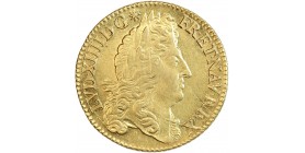 Avers : tête de Louis XIV à droite, laurée sans baies dans la couronne avec la grande perruque.