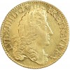 Avers : tête de Louis XIV à droite, laurée sans baies dans la couronne avec la grande perruque.