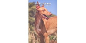 2 Euros Malte 2025 B.U. - Le Chien Pharaon
