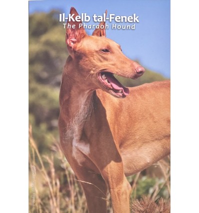 2 Euros Malte 2025 B.U. - Le Chien Pharaon