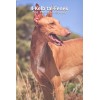 2 Euros Malte 2025 B.U. - Le Chien Pharaon